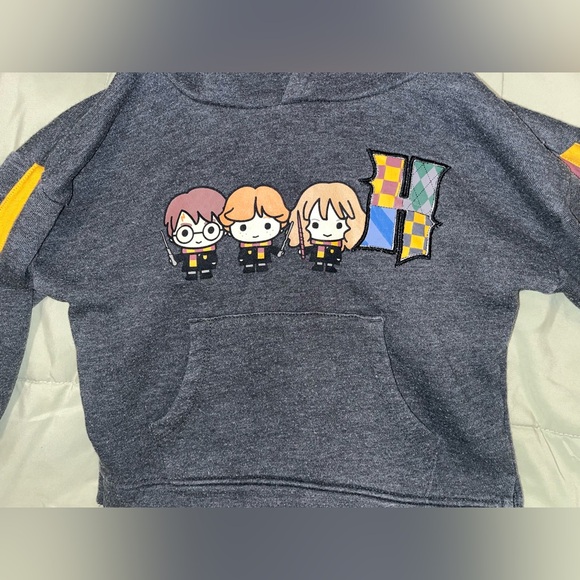 Harry Potter Gryffindor Hoodie size 2T - Picture 3 of 7